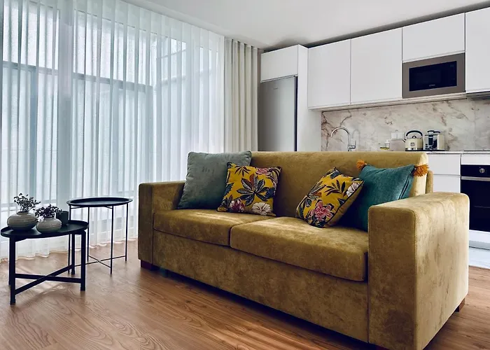 Vibrant Host-campo 24 Agosto