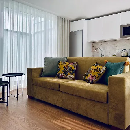 Vibrant Host-campo 24 Agosto