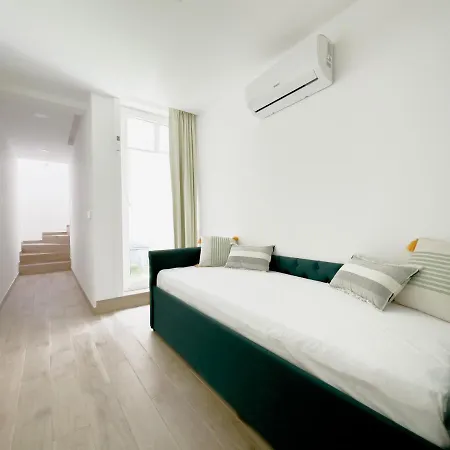 Vibrant Host-campo 24 Agosto