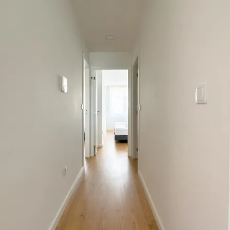 Vibrant Host-campo 24 Agosto Daire