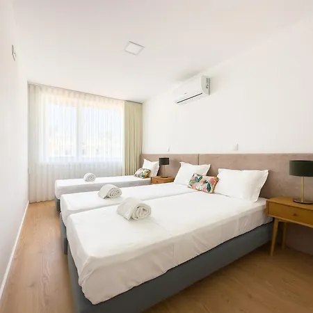 Vibrant Host-campo 24 Agosto