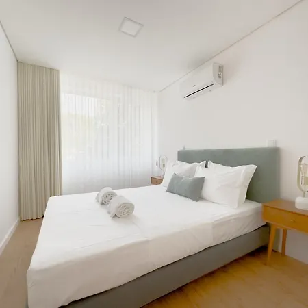 Vibrant Host-campo 24 Agosto