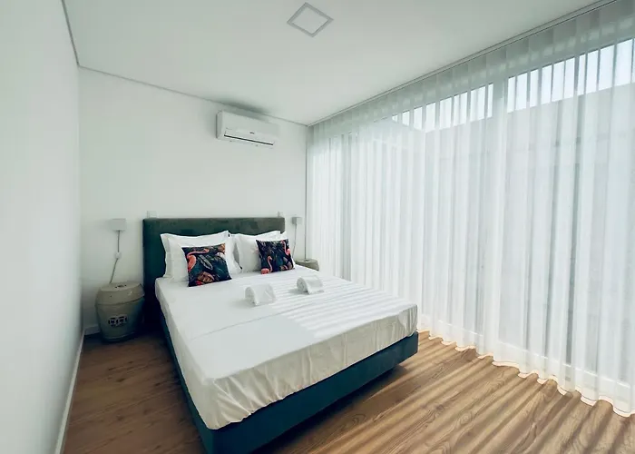 Vibrant Host-campo 24 Agosto