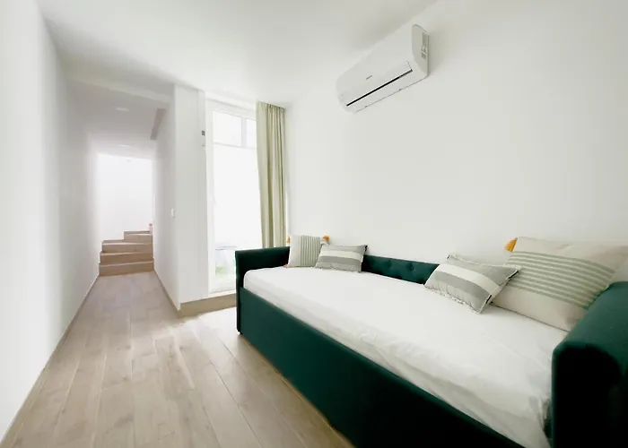 Vibrant Host-campo 24 Agosto