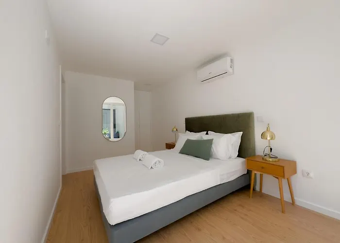 Vibrant Host-campo 24 Agosto *