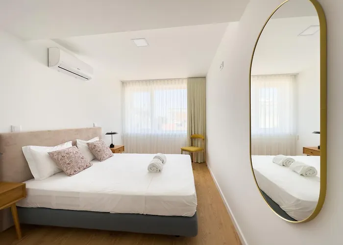 Vibrant Host-campo 24 Agosto