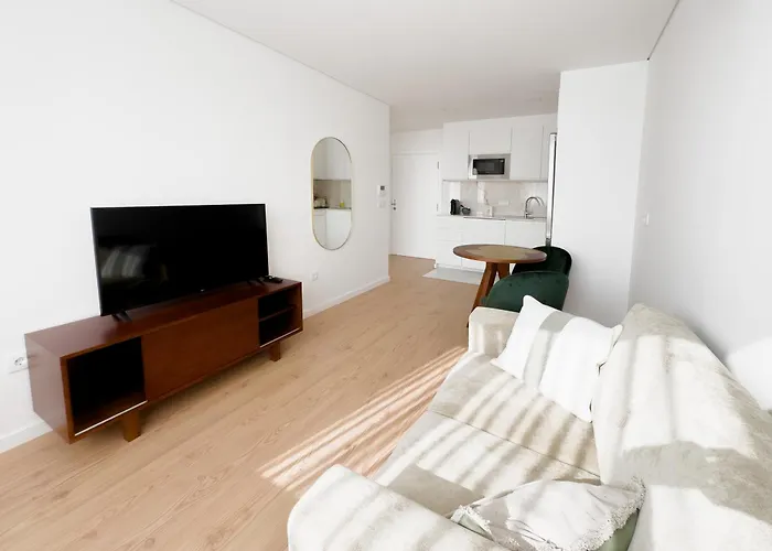 Vibrant Host-campo 24 Agosto