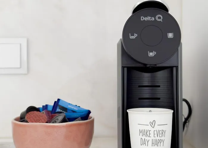 Vibrant Host-campo 24 Agosto *