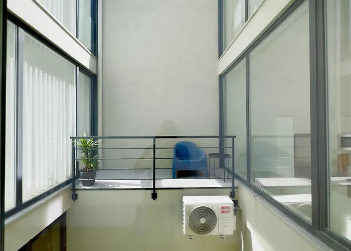 Vibrant Host-campo 24 Agosto