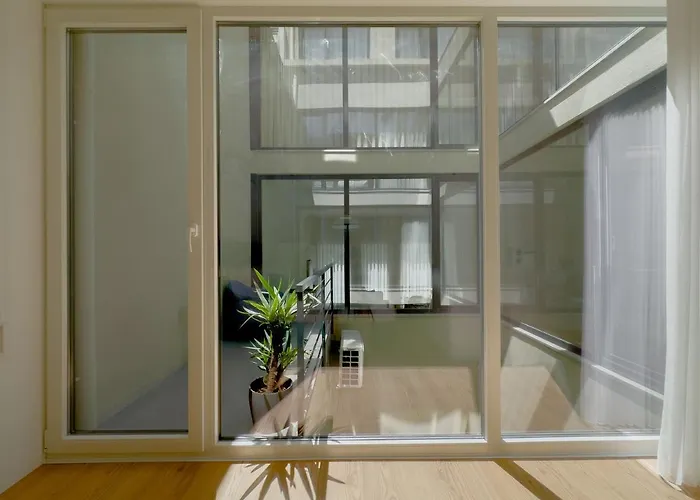 Vibrant Host-campo 24 Agosto *