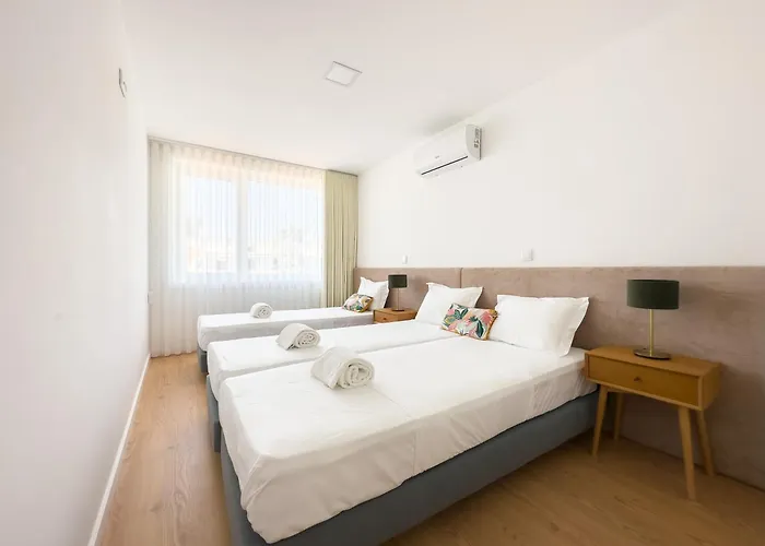 Vibrant Host-campo 24 Agosto