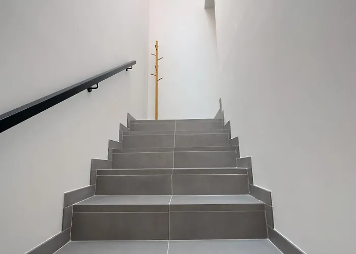 Vibrant Host-campo 24 Agosto * פורטו