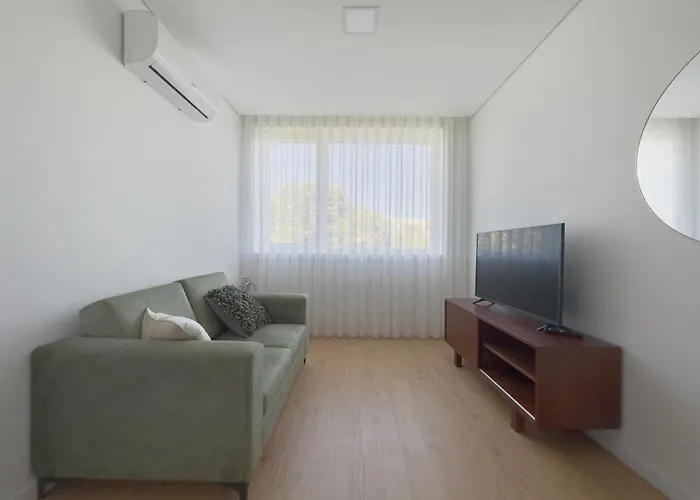 Vibrant Host-campo 24 Agosto * פורטו