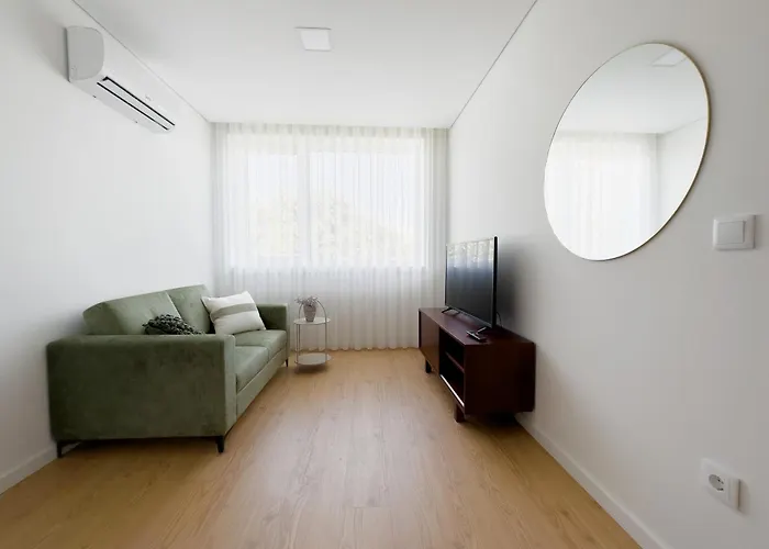 Vibrant Host-campo 24 Agosto פורטו