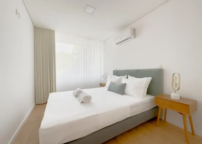 Vibrant Host-campo 24 Agosto