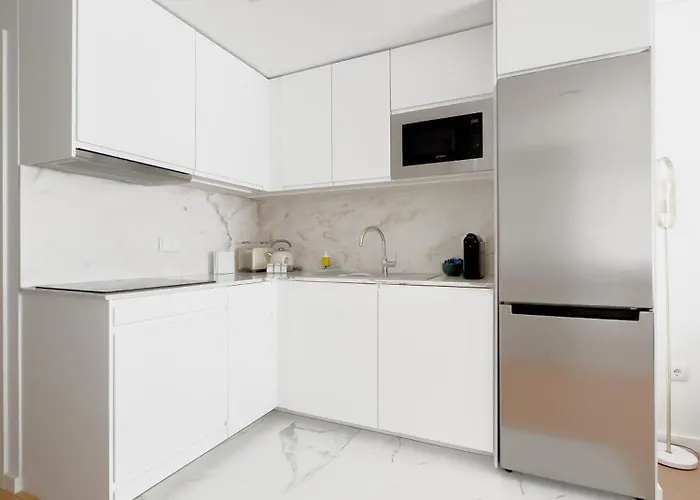 Vibrant Host-campo 24 Agosto * פורטו