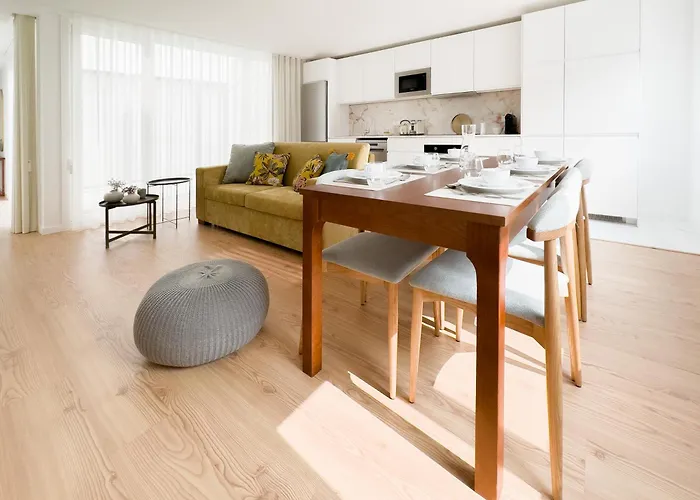 Vibrant Host-campo 24 Agosto פורטו