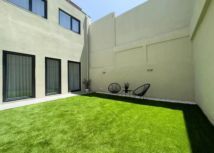 Vibrant Host-campo 24 Agosto *