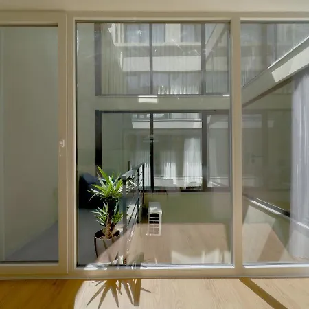 Vibrant Host-campo 24 Agosto *