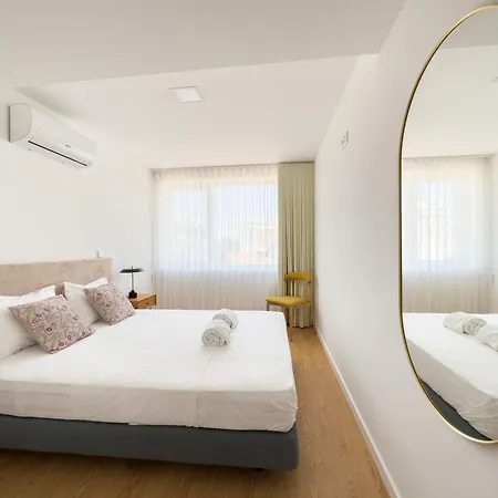 Vibrant Host-campo 24 Agosto