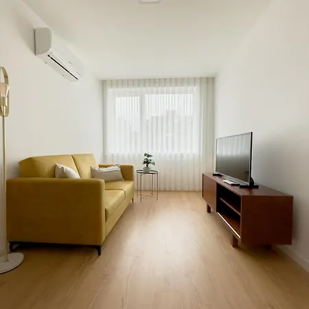 Vibrant Host-campo 24 Agosto Oporto