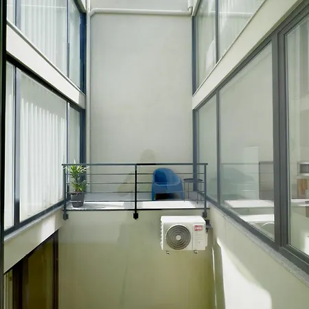 Vibrant Host-campo 24 Agosto